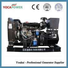 25kVA Generador Diesel Generador de Energía Eléctrica